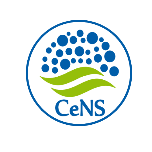 Centre for Nano and Soft Matter Sciences